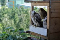 /album/a13-6-2013/prvni-zkouska-cestovani-jpg/